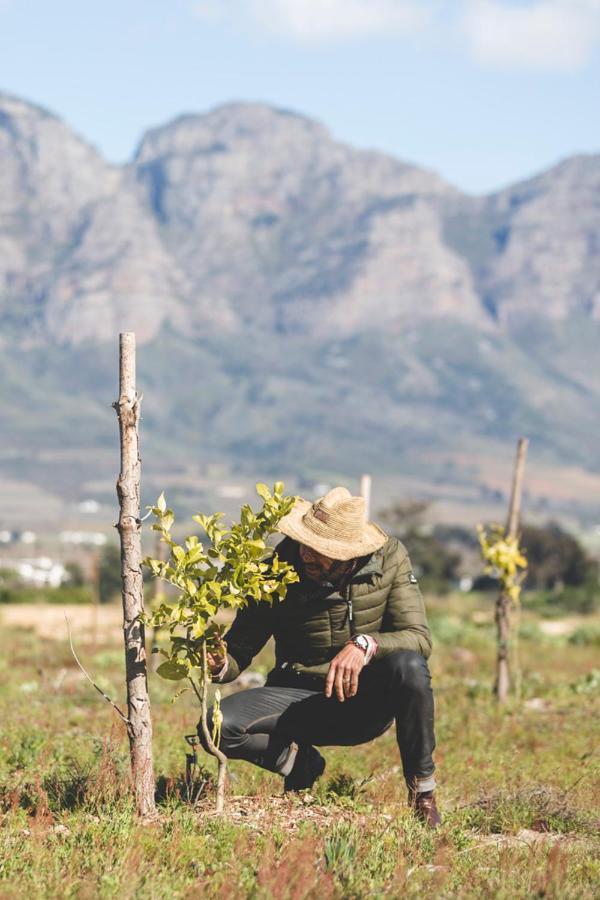 The Farmstead Villa Franschhoek Luaran gambar
